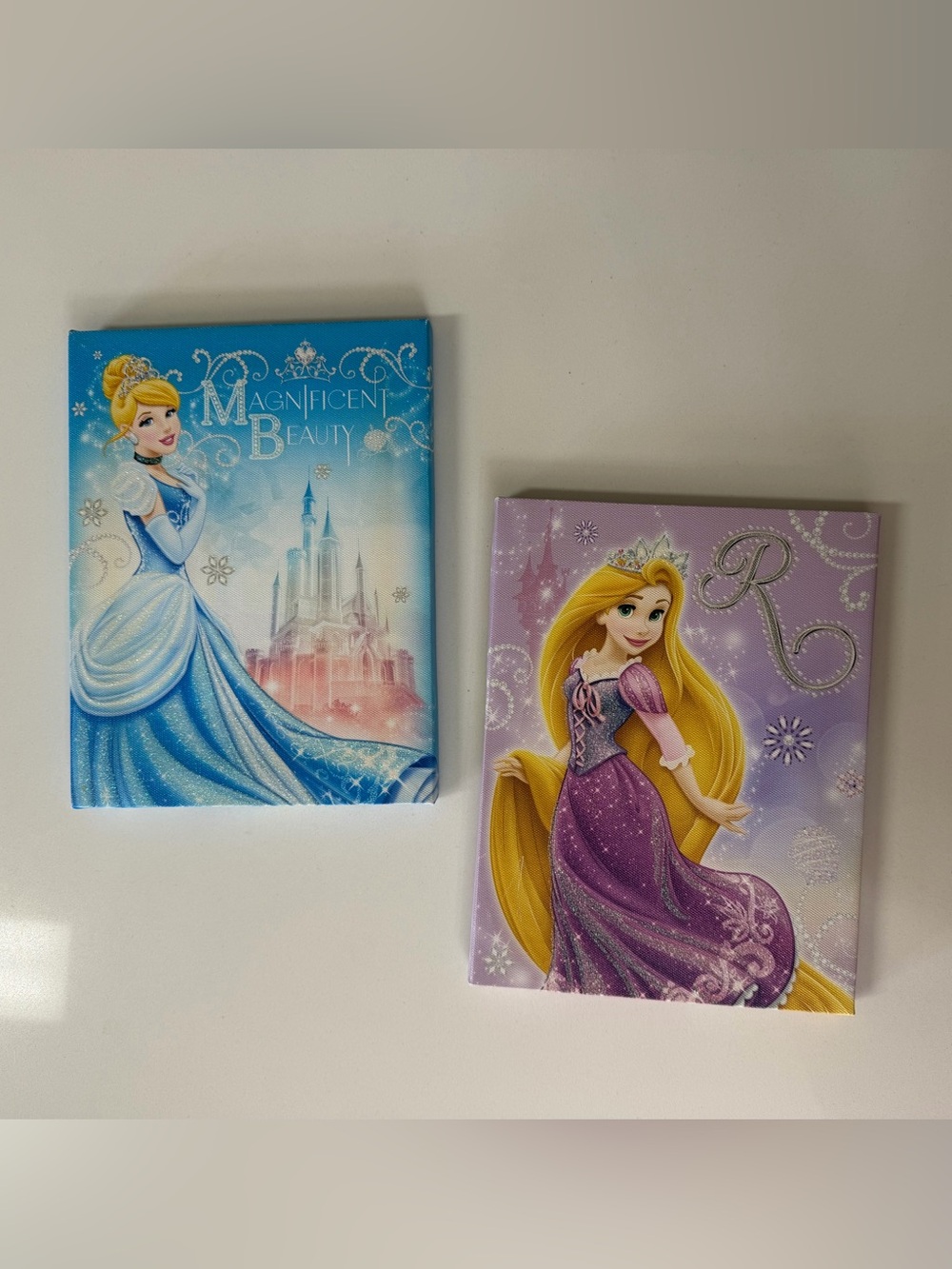 Pair of Disney Princess Wall Art Canvases